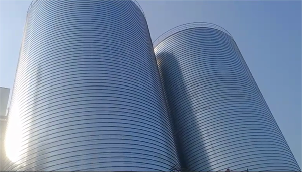 凤翔2座混凝土高架卷板仓